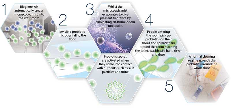 probiotic-action