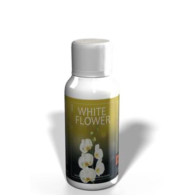 products-visionair-refill-mini